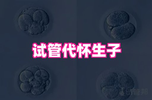 试管助孕网站 3