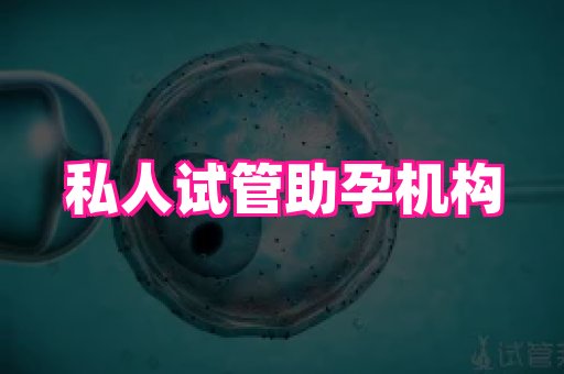 试管助孕网站 4